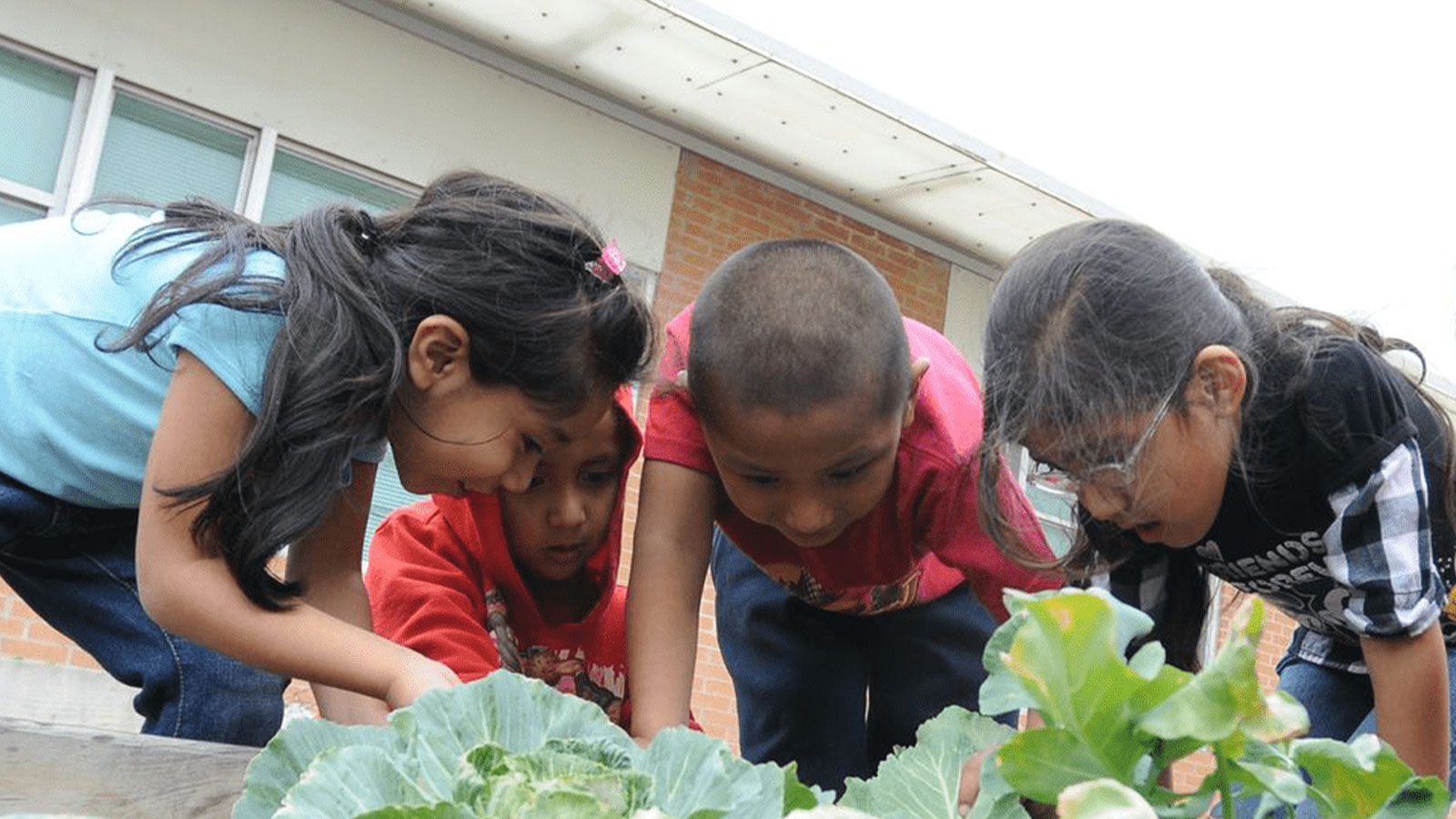 Children working in a community garden