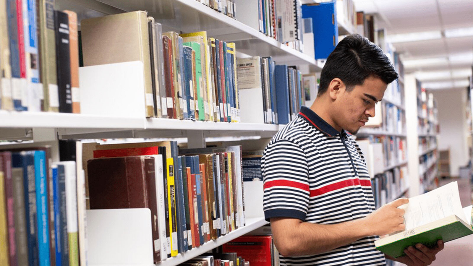 College student reading in a library