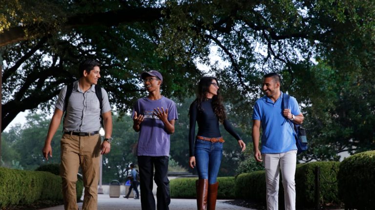A group of four students, three men and one woman, walking through a tree-shaded walkway together.