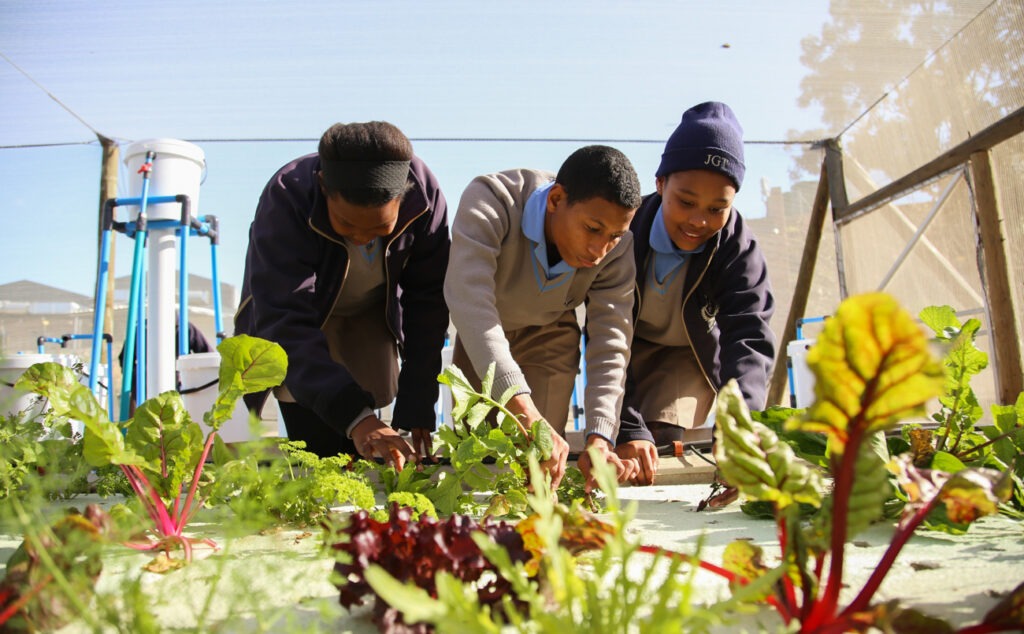 Three JGT students working outside in the campus vegetable garden. 