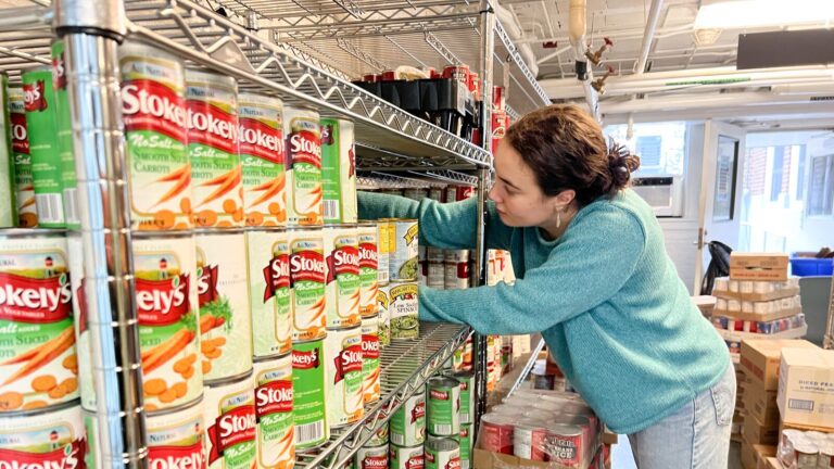 A volunteer stocks a Swipe Out Hunger-supported food pantry.