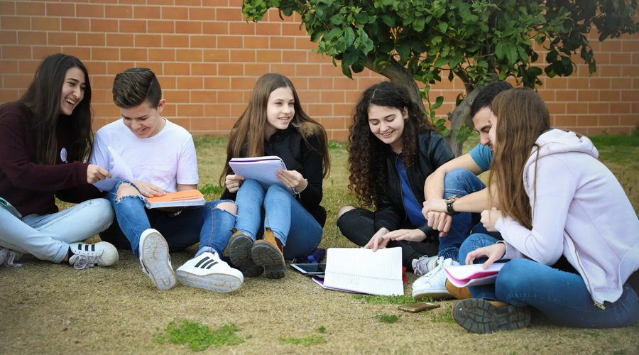 Student sit outside on a grass lawn studying and talking.