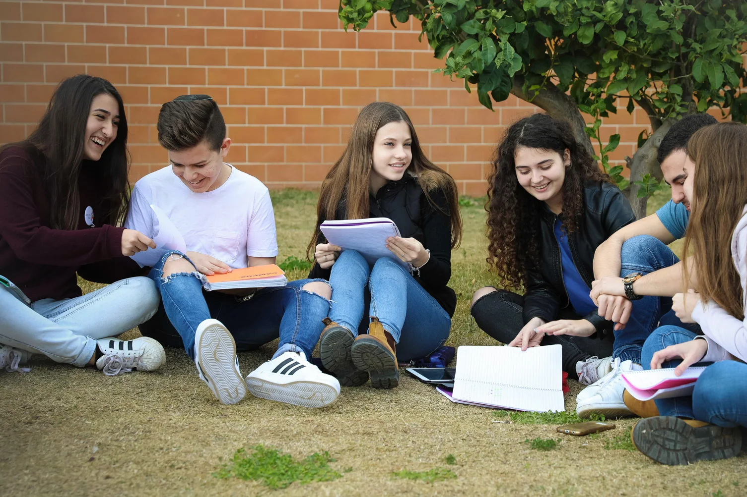 Student sit outside on a grass lawn studying and talking.