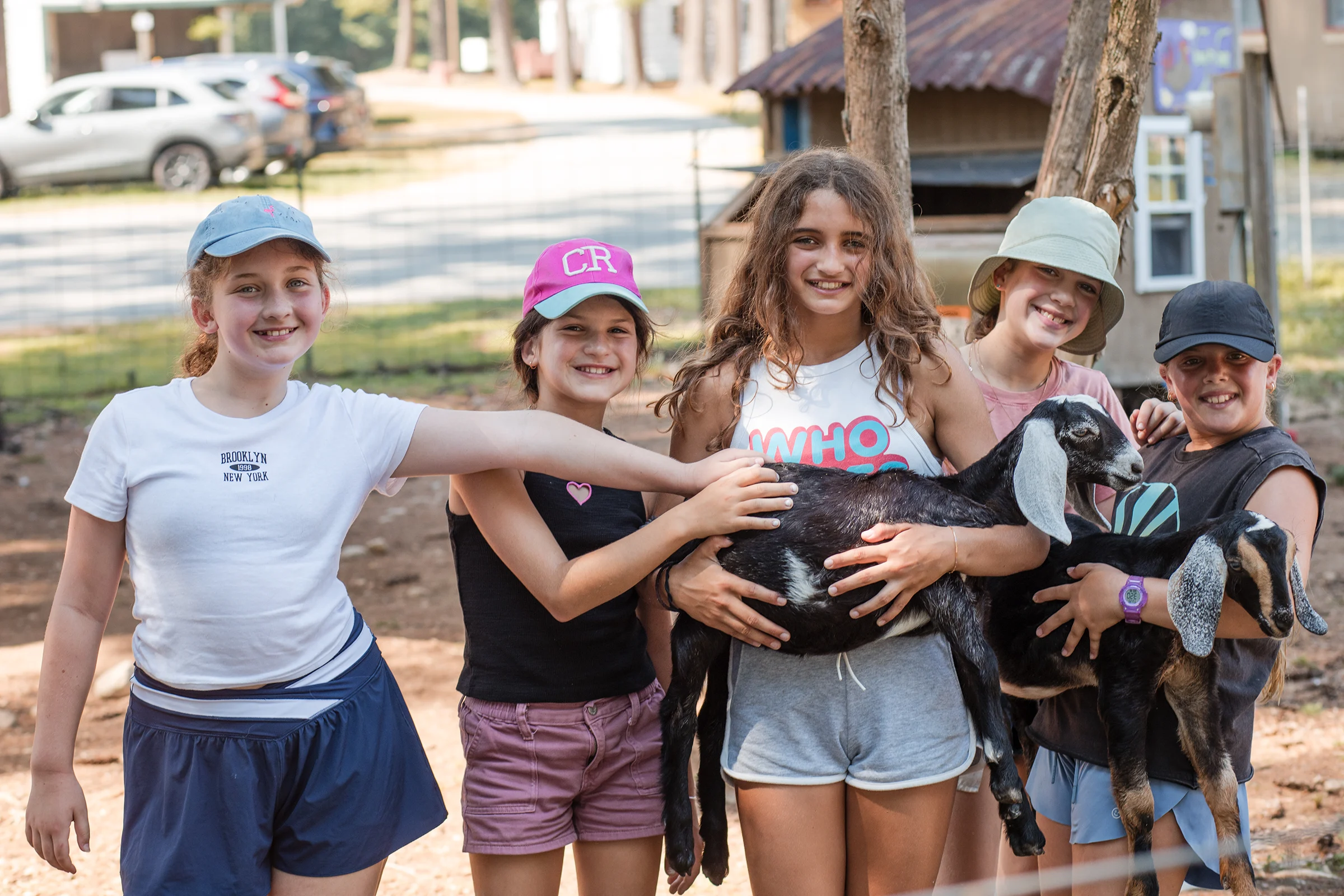 A group of children hold a goat at Jewish camp.